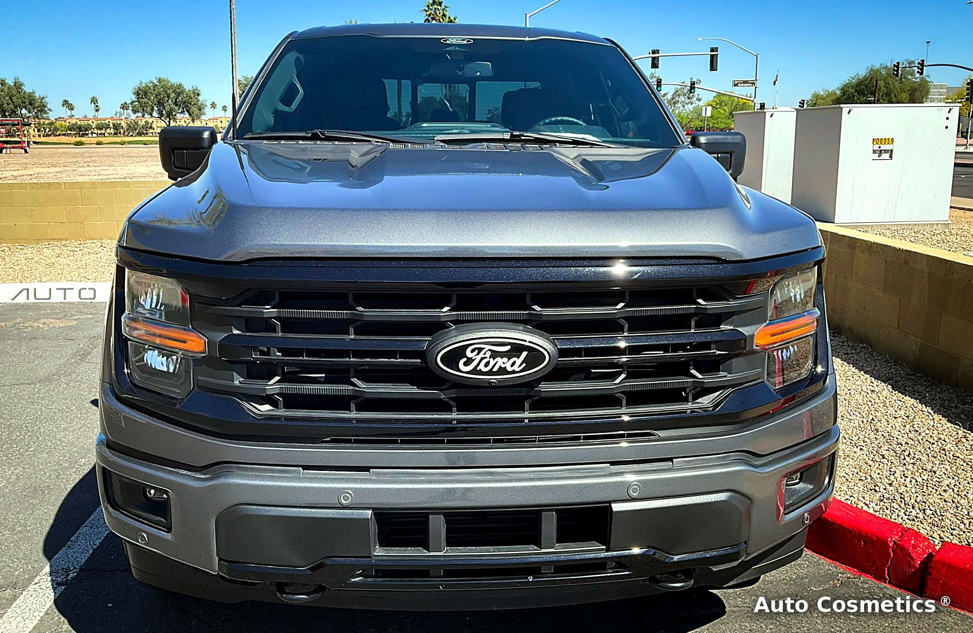 Gray Ford F-150 at Auto Cosmetics in Chandler, Arizona